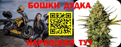 гидра Славянск-на-Кубани
