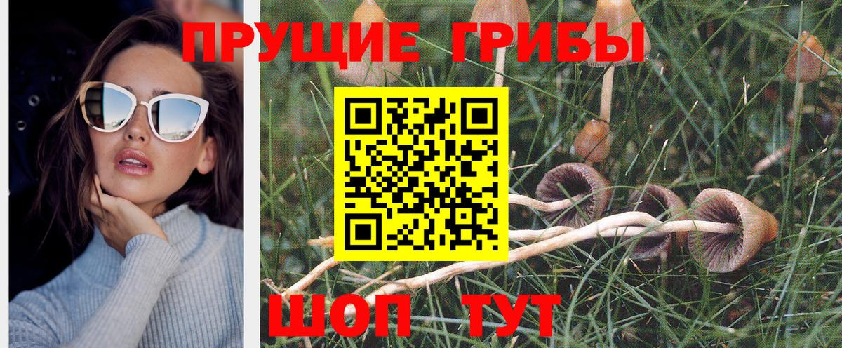 Псилоцибиновые грибы ЛСД  Псилоцибиновые грибы прущие грибы  Реж  Вход с VPN 